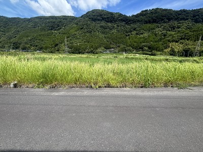 住宅、資材置場、倉庫用地に３３９坪
